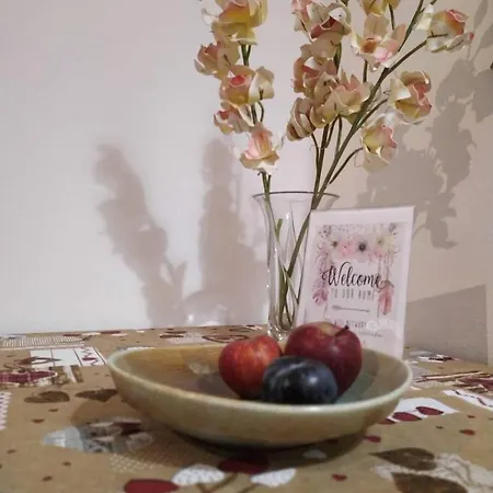 And Cosy House 2 아파트